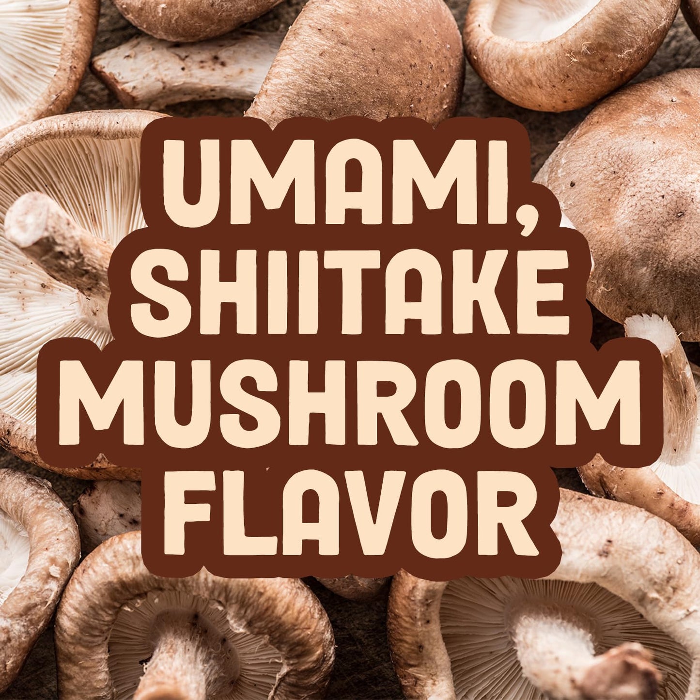 Pans Mushroom Jerky, Vegan Snacks, Shitake, Gluten Free, High Fiber, Zesty Thai, 2.2 Ounce, Pack of 1