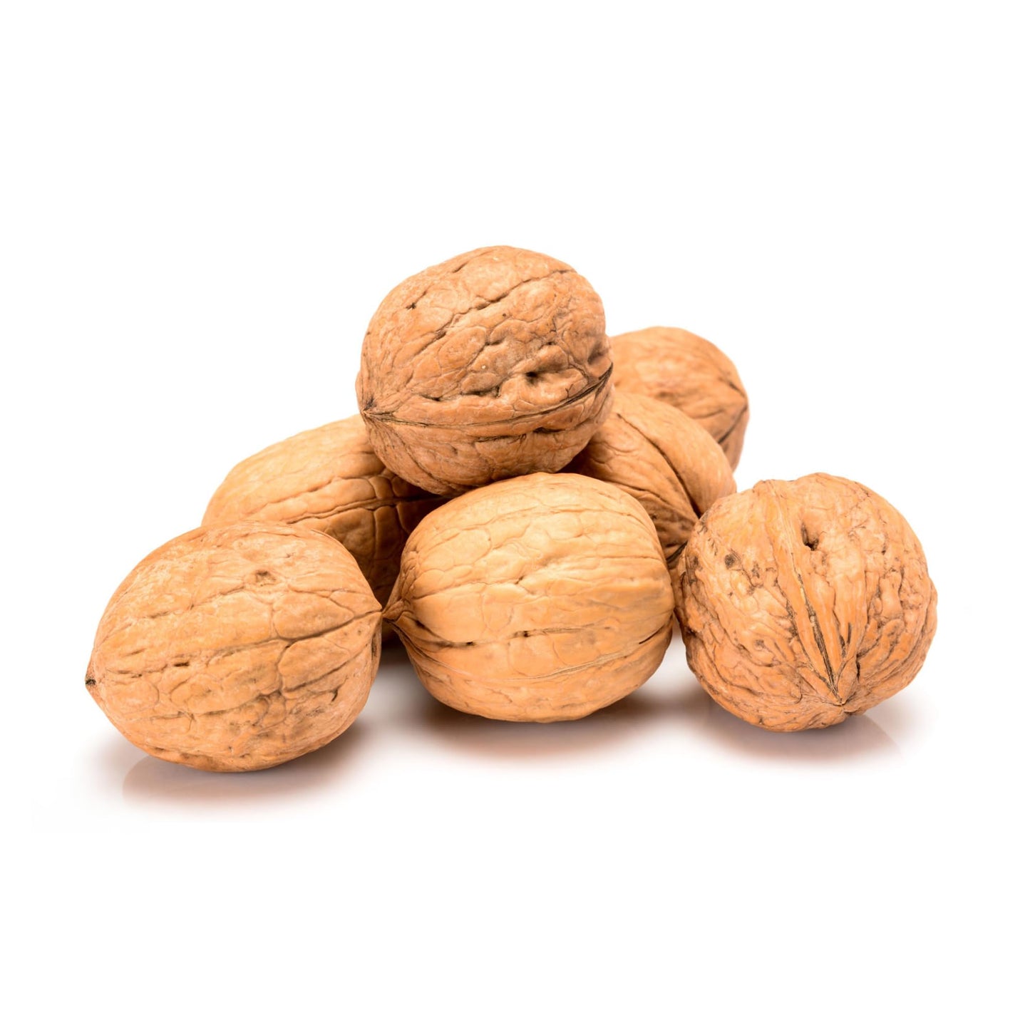 Trends Walnuts In Shell - Fresh Natural And Nutrient-Rich Perfect For Snacking Baking And Cooking Fresh Walnuts In Shell - Non-Gmo (2Lbs)