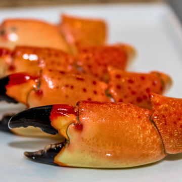 Florida Stone Crabs Claws-Medium 5-8 Claws Per Lb. Fresh Never Frozen wild Caught (5lbs)