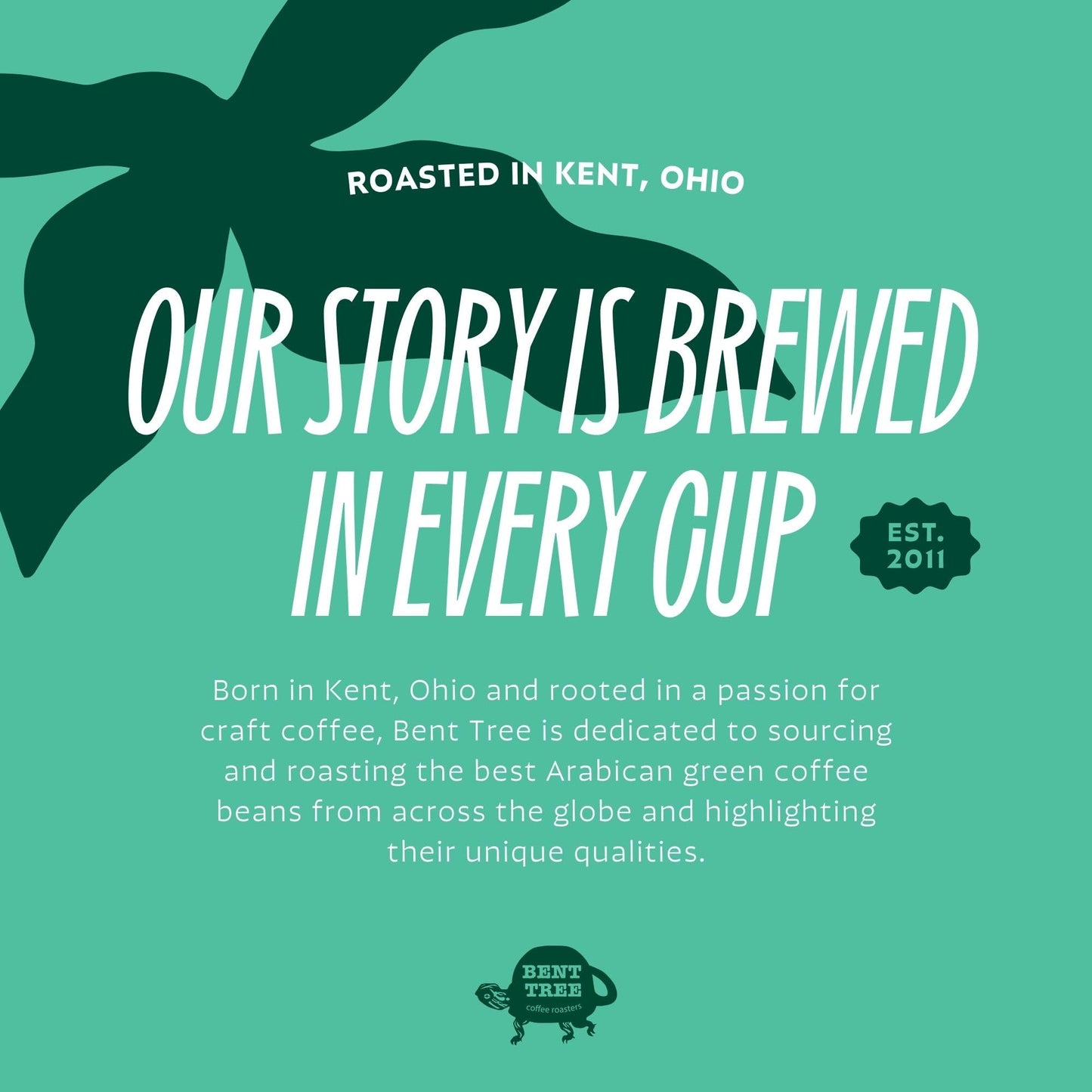 Bent Tree Coffee Roasters Organic Whole Bean Coffee, Medium Roast, 12oz, Balanced Acidity, Caramelized Sugar, Blackberry