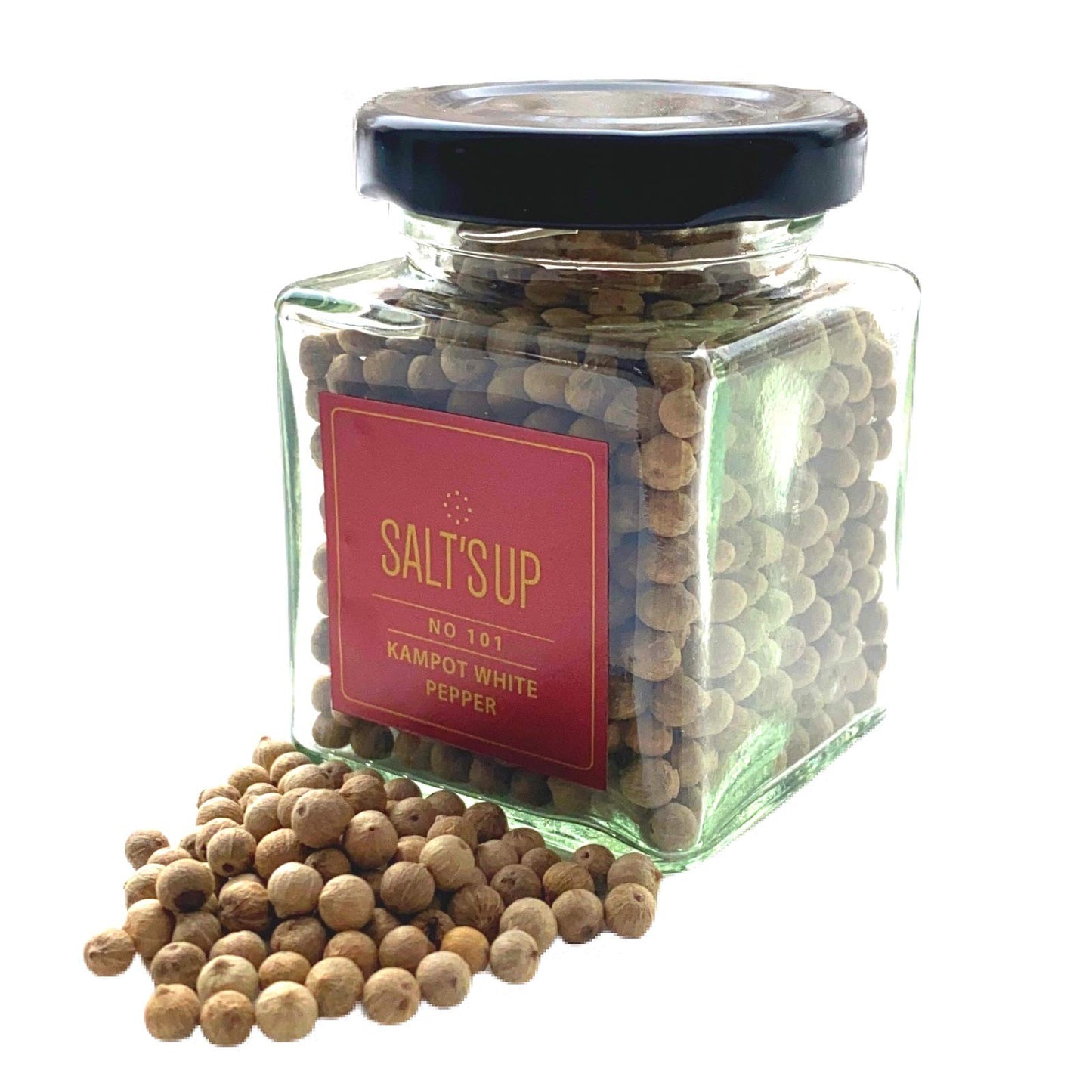 SaltsUp KAMPOT white pepper, tellicherry whole peppercorns (60gm, 2.12oz)