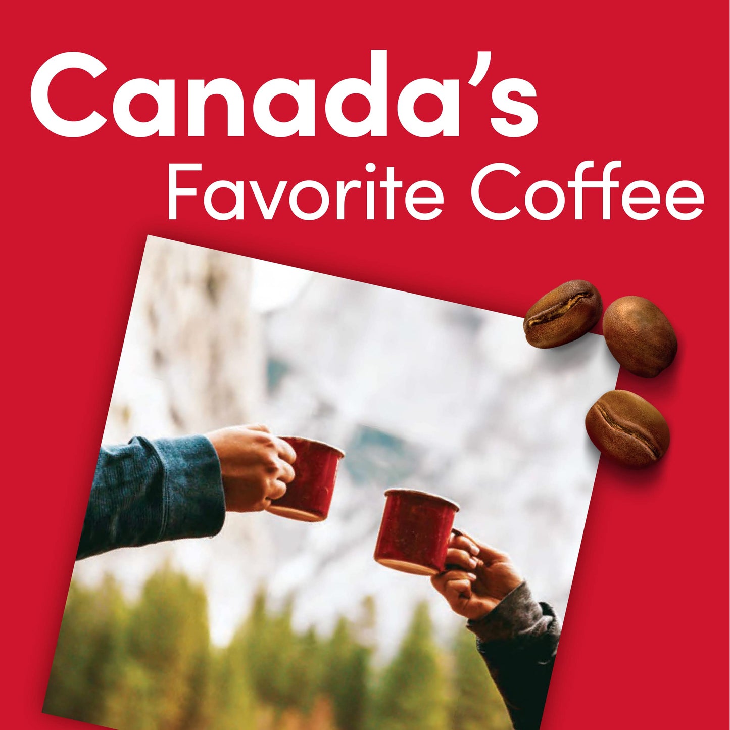 Tim Hortons French Vanilla Flavored Roast Ground Coffee Perfectly Balanced Always Smooth Made with 100% Arabica Beans 12 Ounce Bag