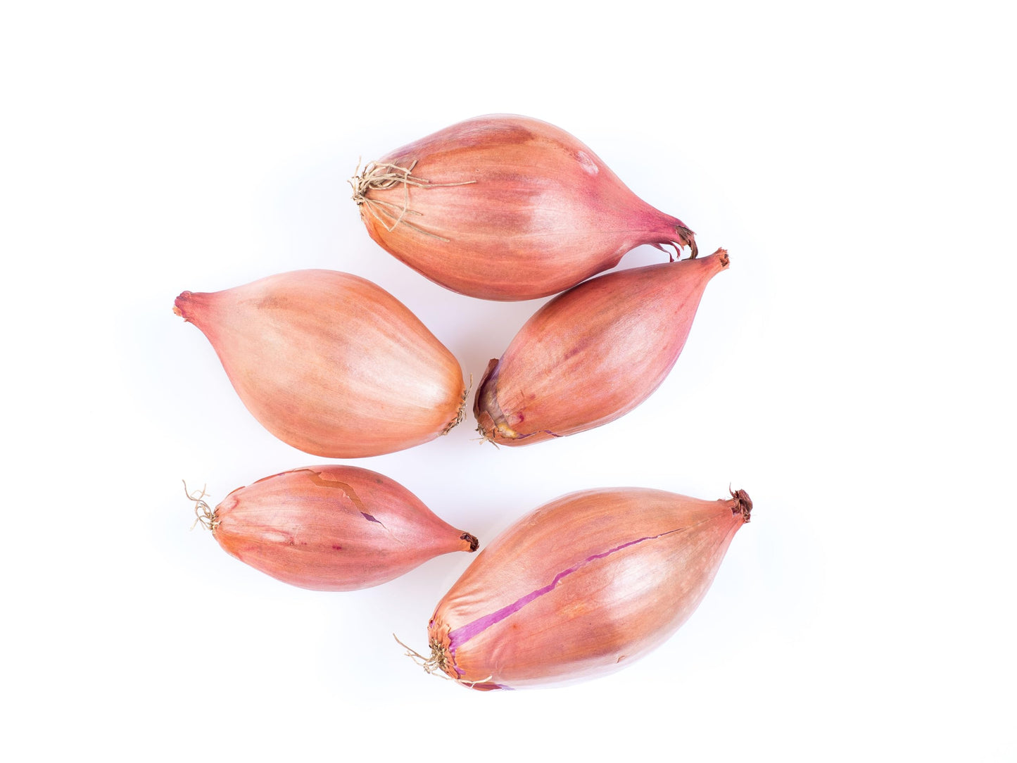 Fresh Shallots by RawJoy Farms