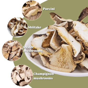 Vigorous Mountains Dried Mixed Mushrooms Blend For Cooking - Porcini Shiitake Oyster & Champignon - 3.53Oz (100G) - Soft Texture Bold Flavor & Vegan - Ideal For Cooking