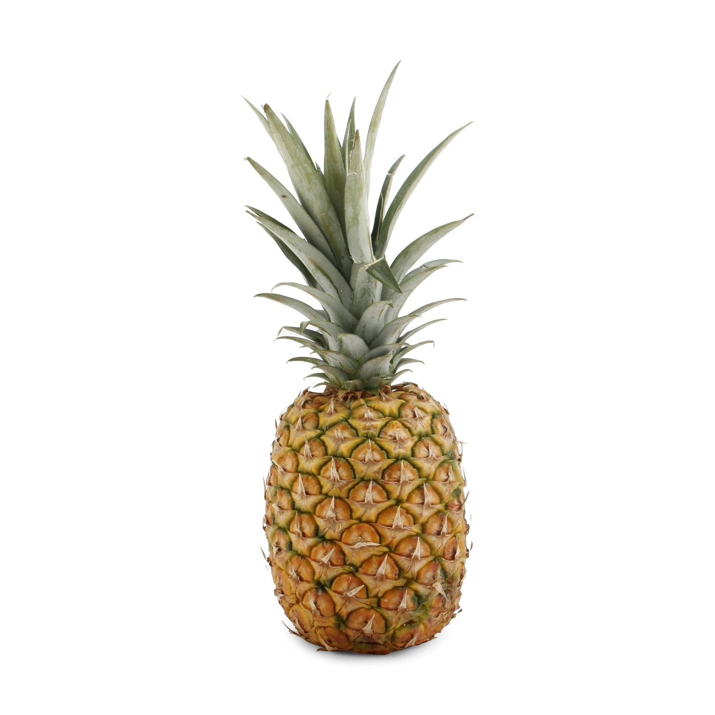 Gold Pineapple, 1 Each