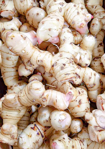 Fresh Galangal From Hawaii (2)