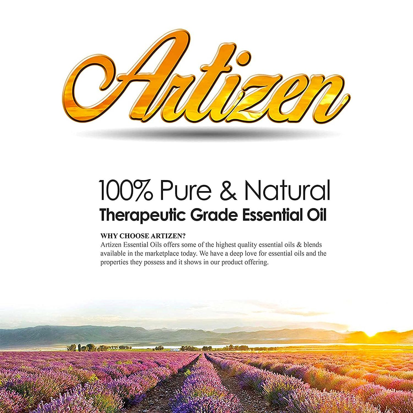 Artizen 30Ml Oils - Cypress Essential Oil - 1 Fluid Ounce
