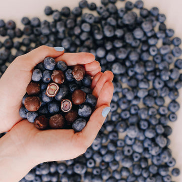 Tru Fru Natures Blueberries Hyper-Chilled in White & Dark Chocolate 8 Ounce Bag