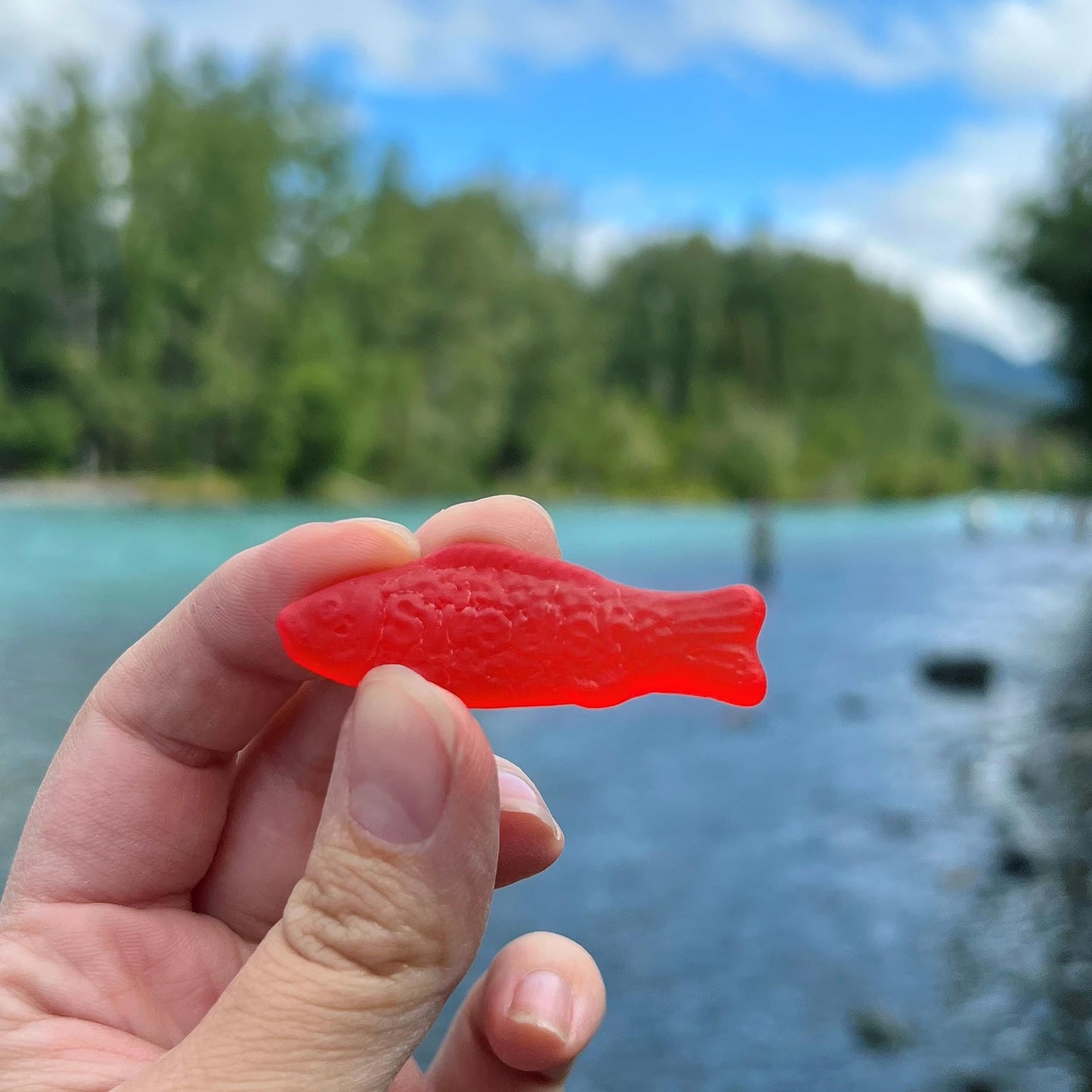 SWEDISH FISH Soft & Chewy Candy, 5 lb