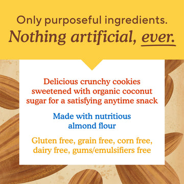 Simple Mills Almond Flour Crunchy Cookies, Toasted Pecan - Gluten Free, Vegan, Healthy Snacks, Made With Organic Coconut Oil, 5.5 Ounce (Pack Of 3)