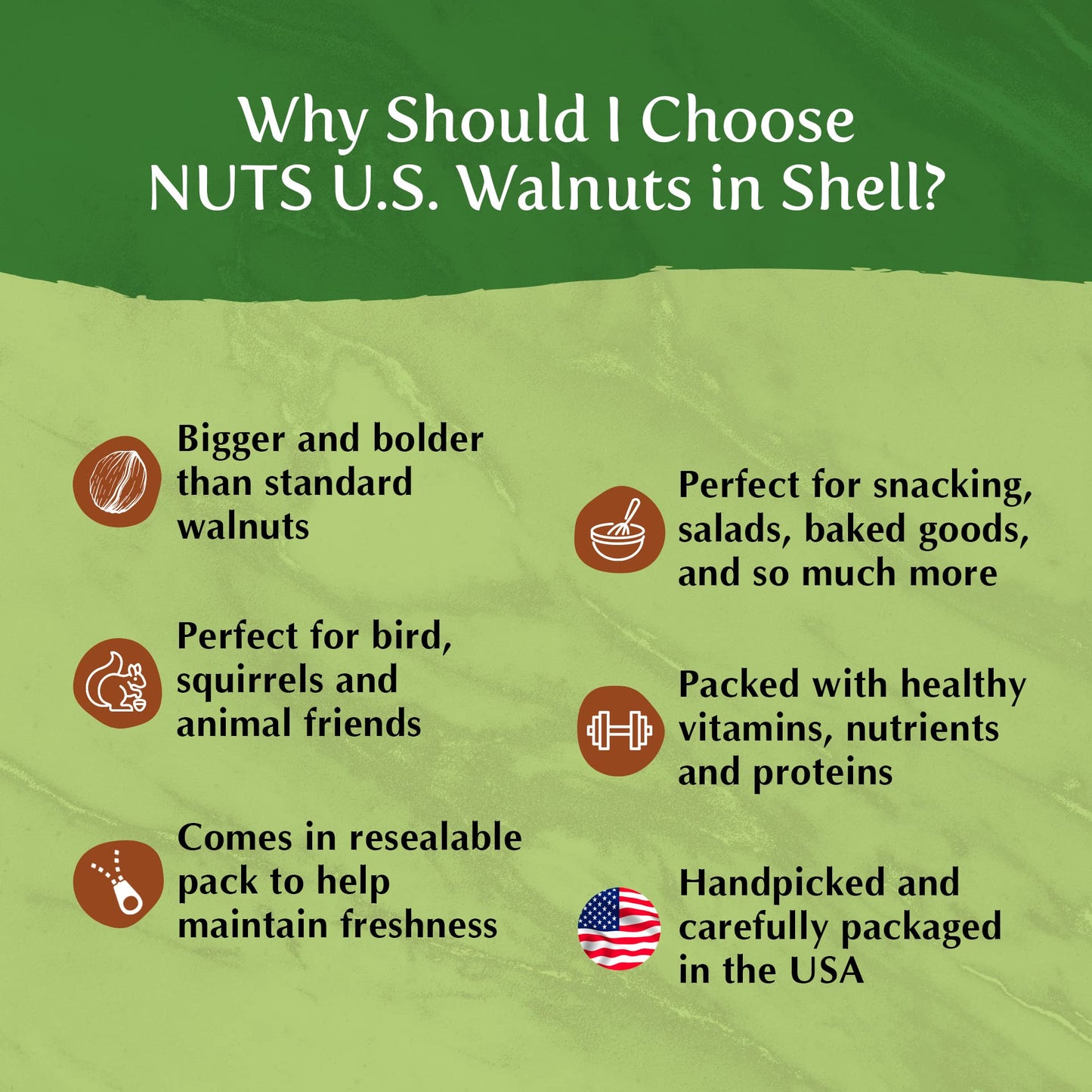 NUTS U.S. Walnuts in Shell, Chandler Variety, Non-GMO, 6 Pound Resealable Bag