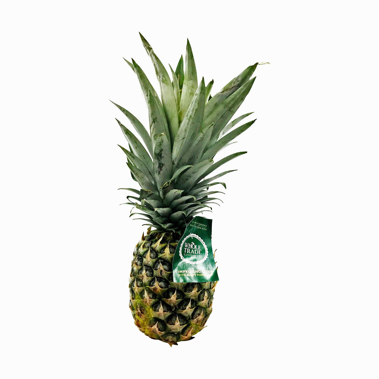 Organic Pineapple, 1 Each