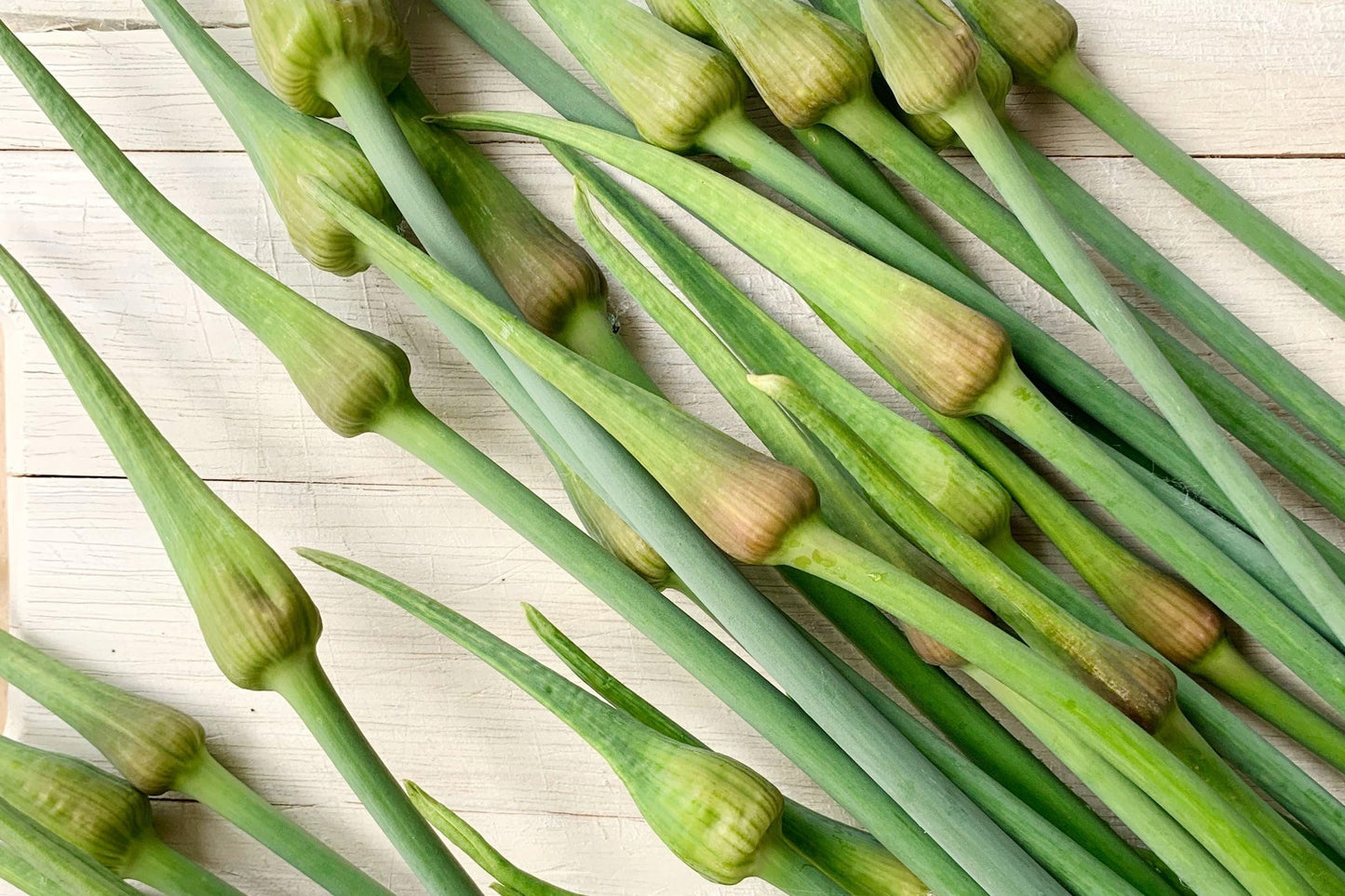 Fresh Garlic Scapes by RawJoy Farm (4 Pound)