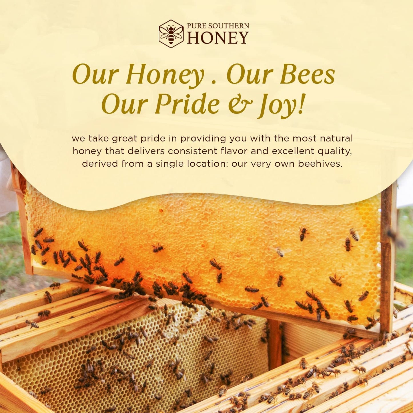 Pure Southern Honey Raw Unfiltered Honey with Honeycomb, 16 oz, Non-GMO, Sugar-Free, Authentic USA Gallberry Honey