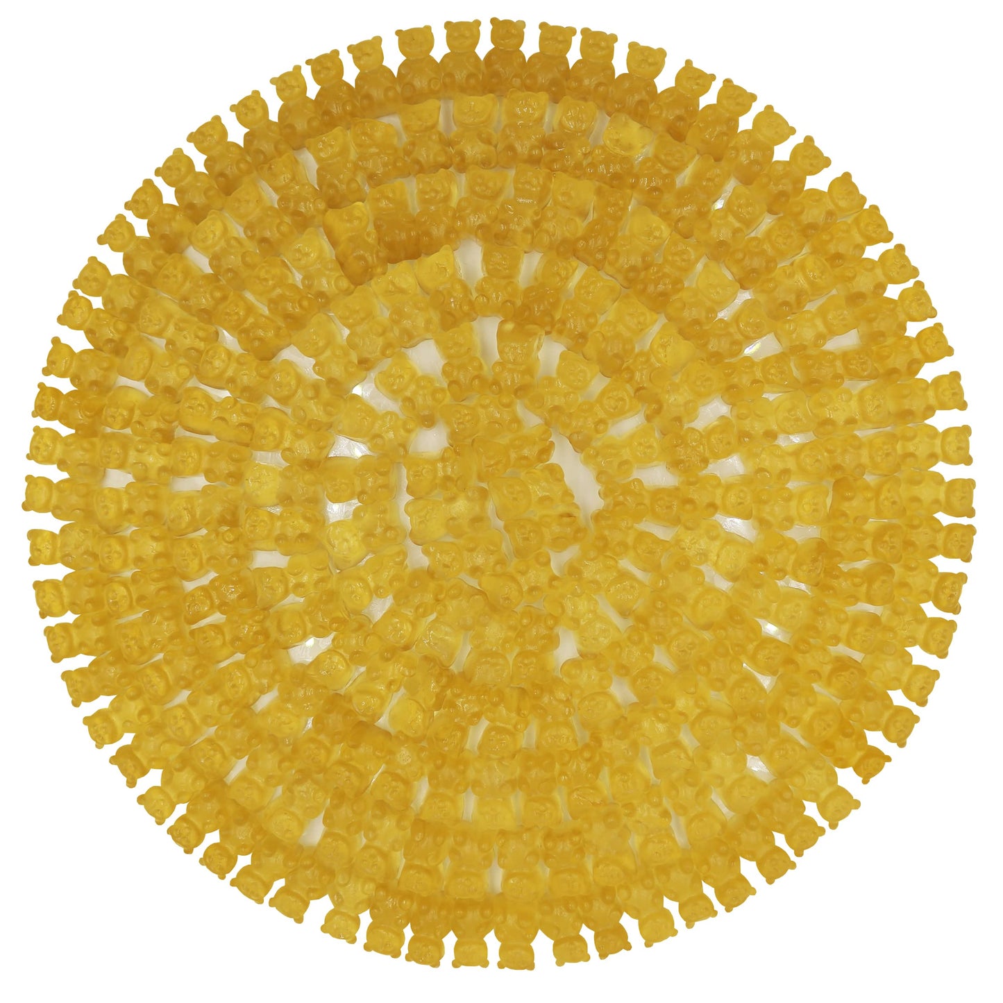 FirstChoiceCandy Gummy Bears (Pineapple, 5 Pound (Pack of 1))