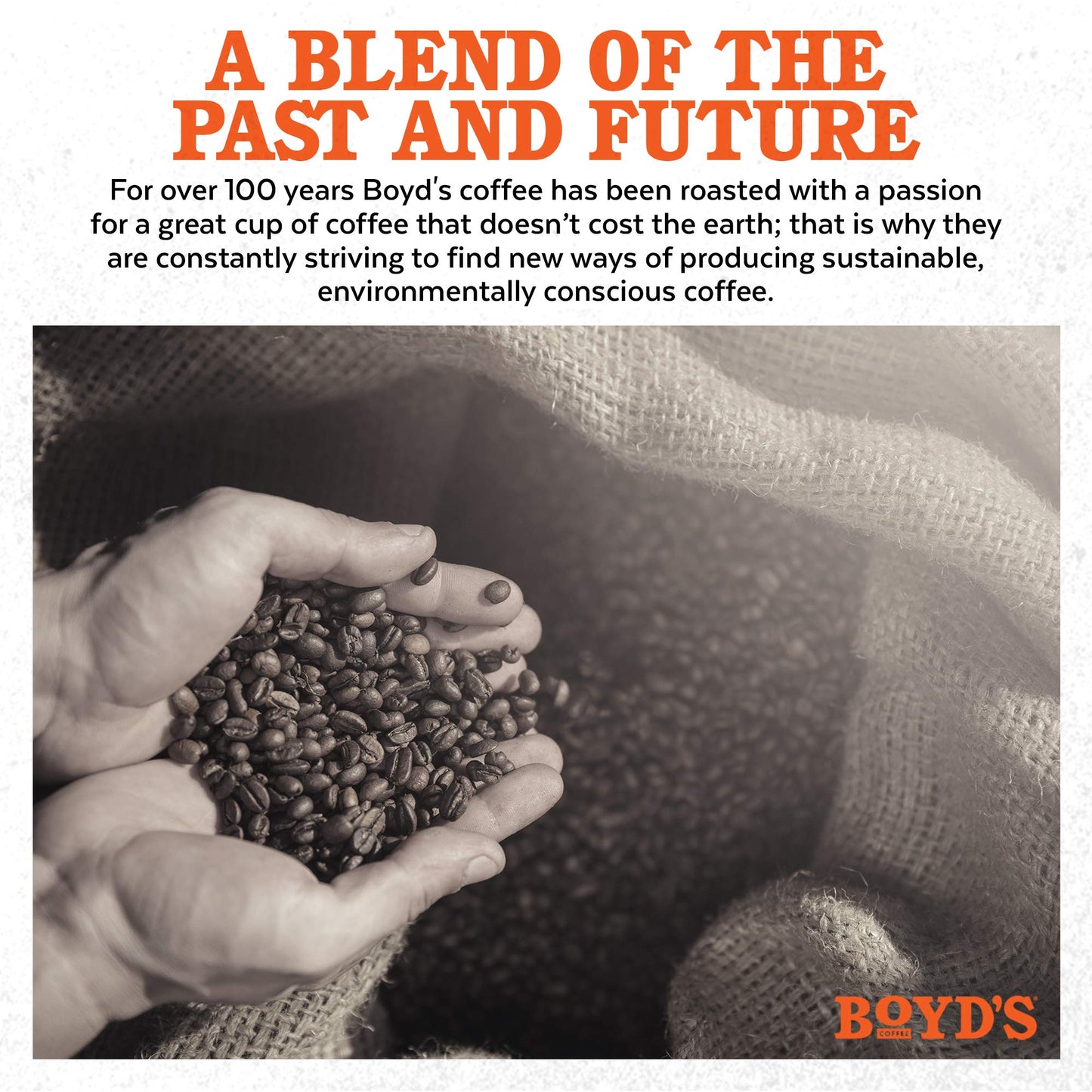 Boyd'S Good Morning Coffee - Medium Roast - Single Cup, 0.37 Oz (Pack Of 12)