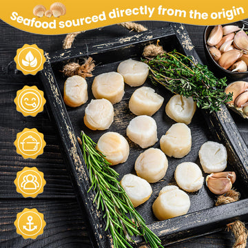 Oceanzen:Premium Frozen Seafood Premium 10 To 20 Count Per Pound Dry Sea Scallops(8 Lb)