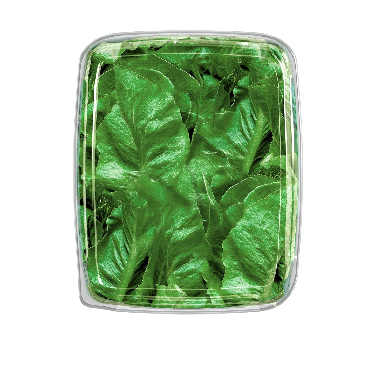 Gotham Greens Romaine Lettuce, 4.5 Ounce