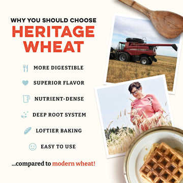 Sunrise Flour Mill 7-Grain Heritage Pancake Mix, USDA Organic, 32 oz, Easy to Digest, No Additives