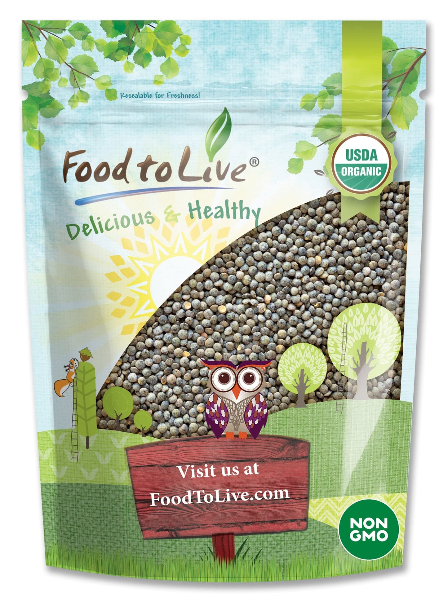 Food to Live Organic French Green Lentils, 3 Pounds - Non-GMO, Whole Dry Beans, Raw, Sproutable, Vegan, Kosher, Bulk. Rich in Fo