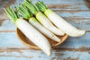 Fresh White Radish by RawJoy Farms