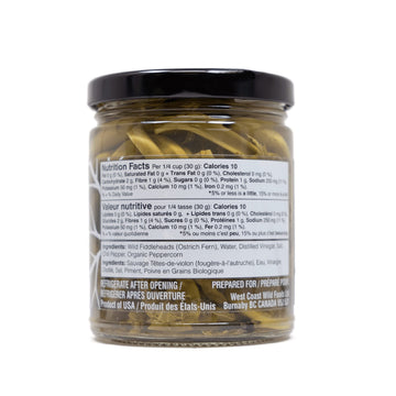 Wild Pickled Fiddleheads (Hot | 250ml - 8oz) | Local | West Coast Wild Foods