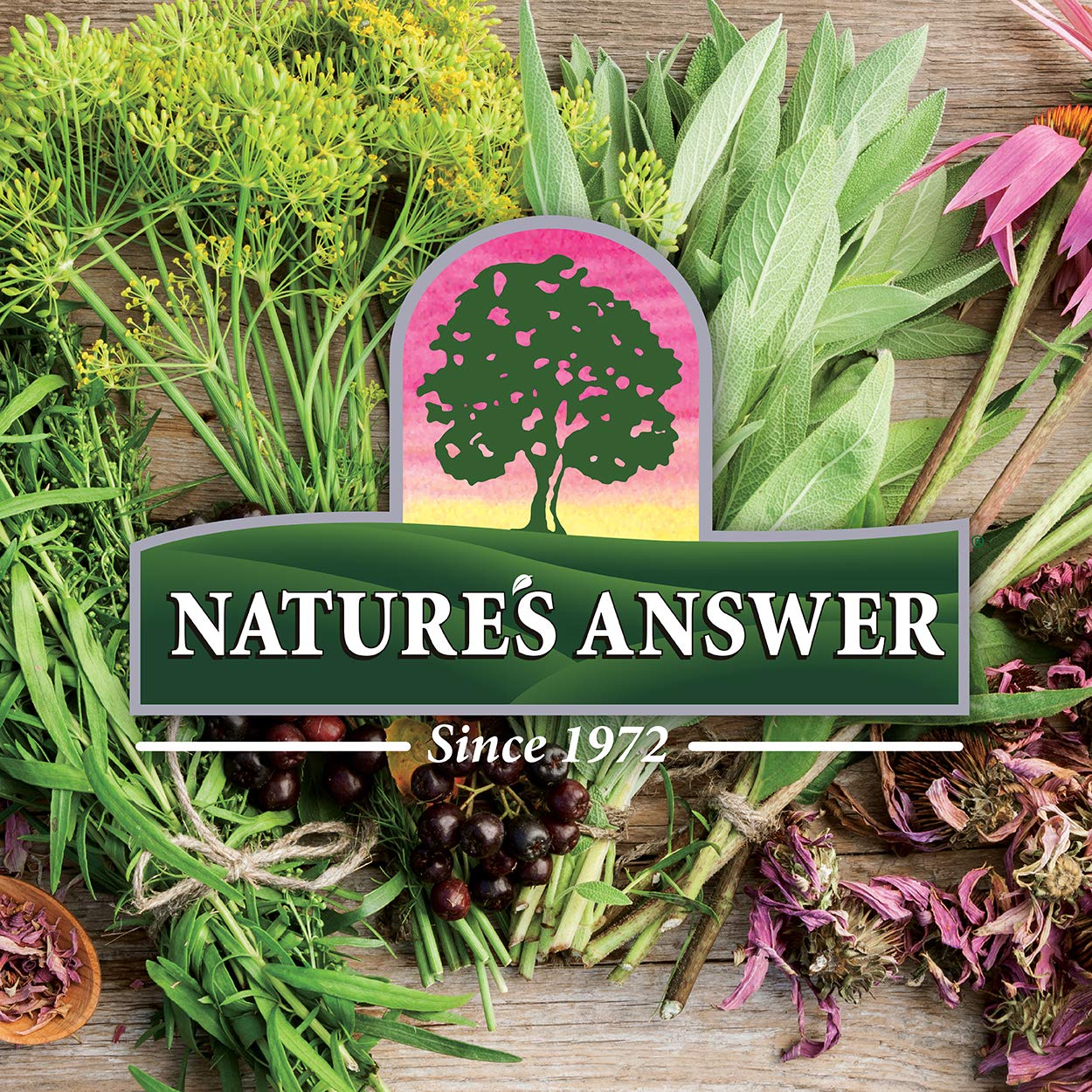 Natures Answer Slippery Elm Extract 2000 mg 2 fl oz (60 ml)