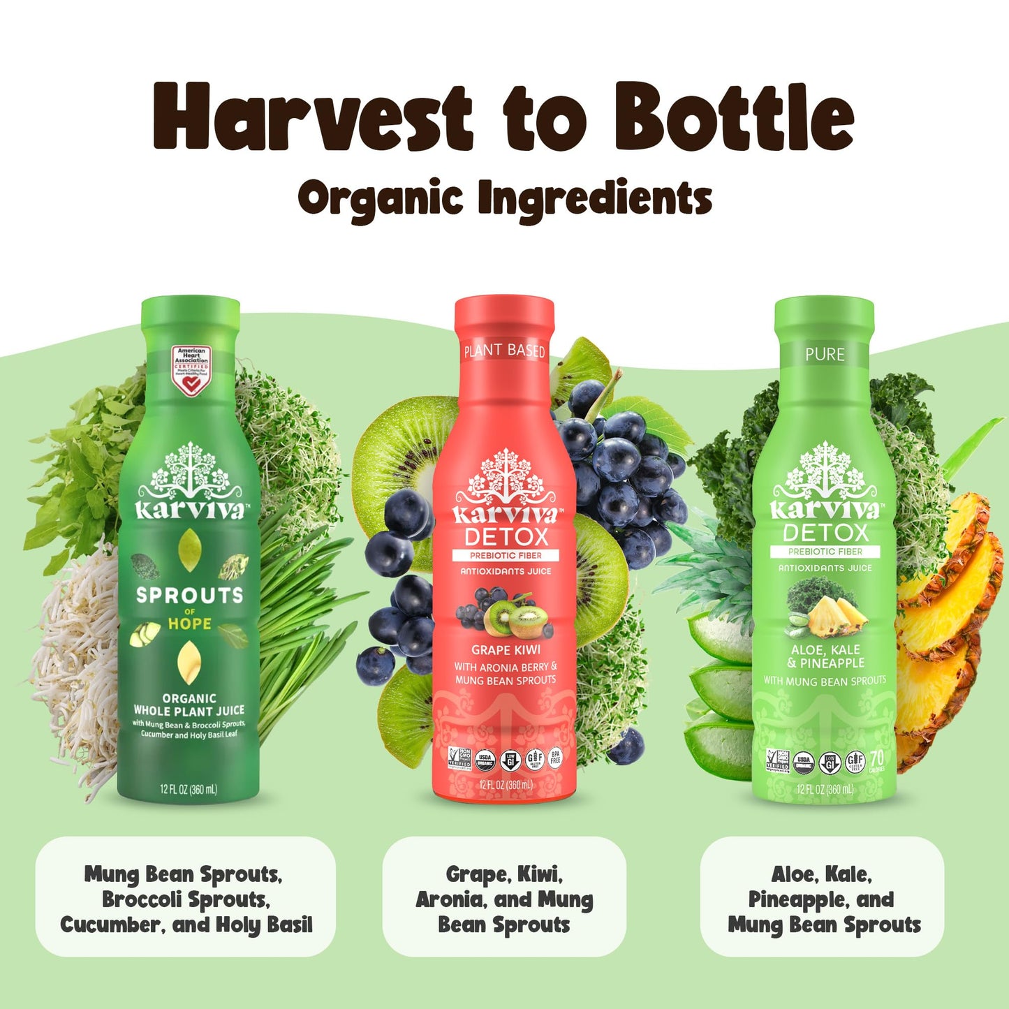 Karviva Organic Juice Cleanse for Sugar Detox & Weight Control - Ancient Eastern Remedies for Healthy Digestion & Gentle Detox w