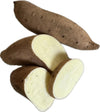2 Pound Fresh White Sweet Potatoes Yams - White Flesh - Yam Produce