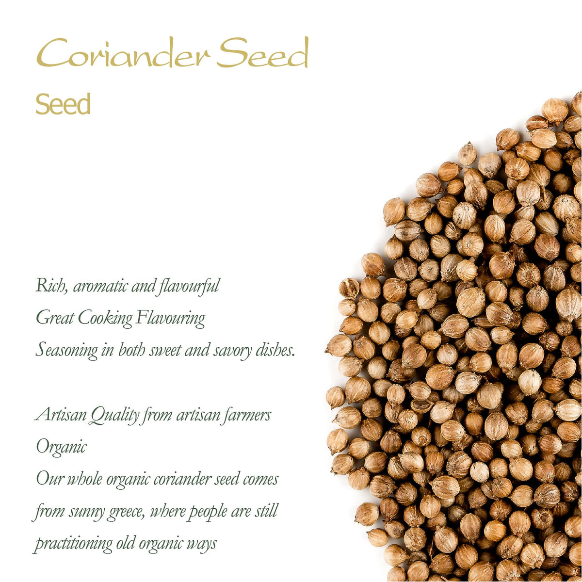 Valley of Tea Organic Coriander Seed - Gourmet Quality Cilantro Seeds, 17.63 Ounce