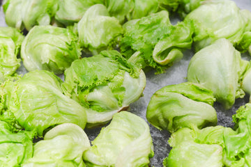 Fresh Iceberg Lettuce by RawJoy - 3 Pound, Crisp and Fresh, Ideal for Salads and Sandwiches