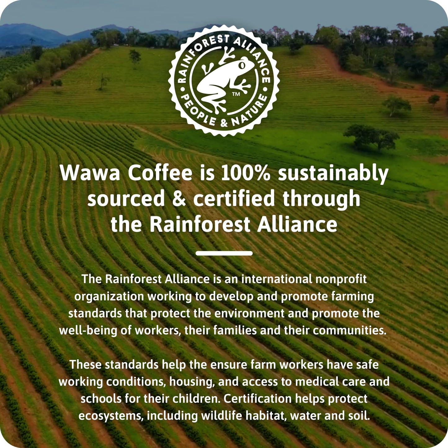 WAWA Colombian Medium Roast Coffee Pods, 72 Single Serve Pods in 6 Boxes, Chocolate & Fruit Notes, 100% Responsibly Sourced