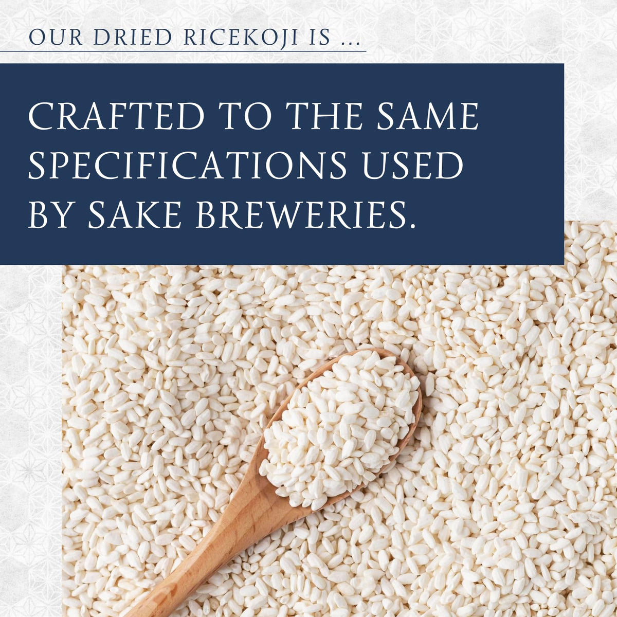 Premium Dried Rice Koji 7Oz (200G), Made In Japan, Shio Koji, Miso, Soy Sauce, Tamari, White Koji, Molted Rice, Oryzae