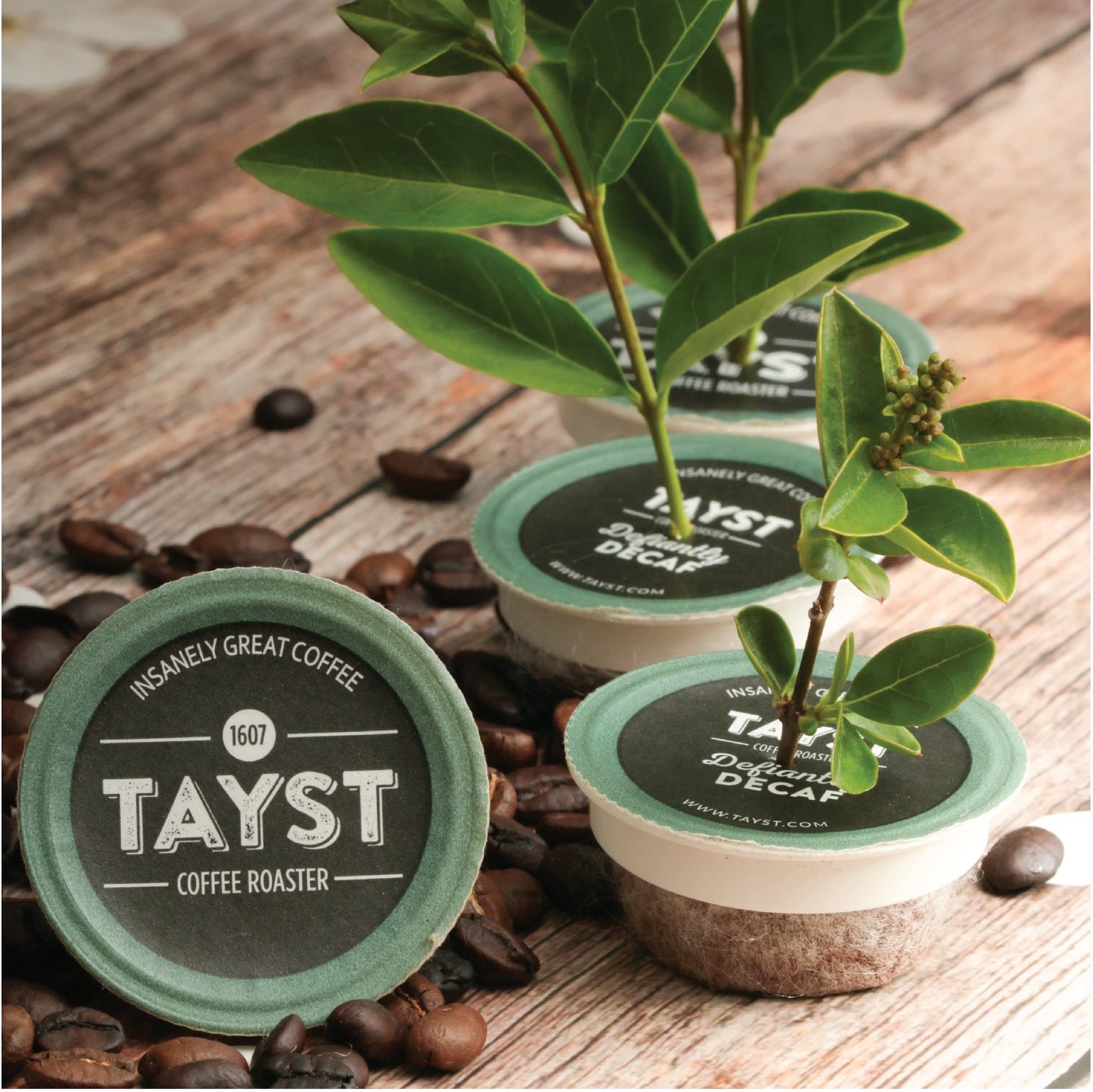 Tayst Coffee Pods, Bold & Brilliant Dark Roast, K Cups Compatible With Keurig Coffee Maker, Sustainable Single Serve, Pack Of 10