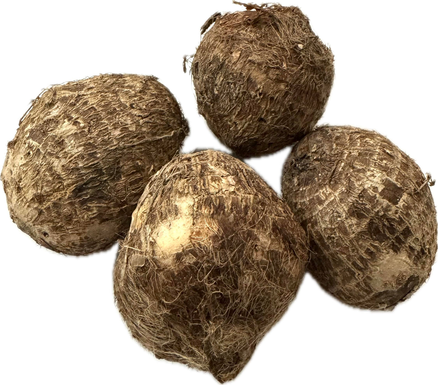 Fresh Taro Roots, Small, 1 Pound