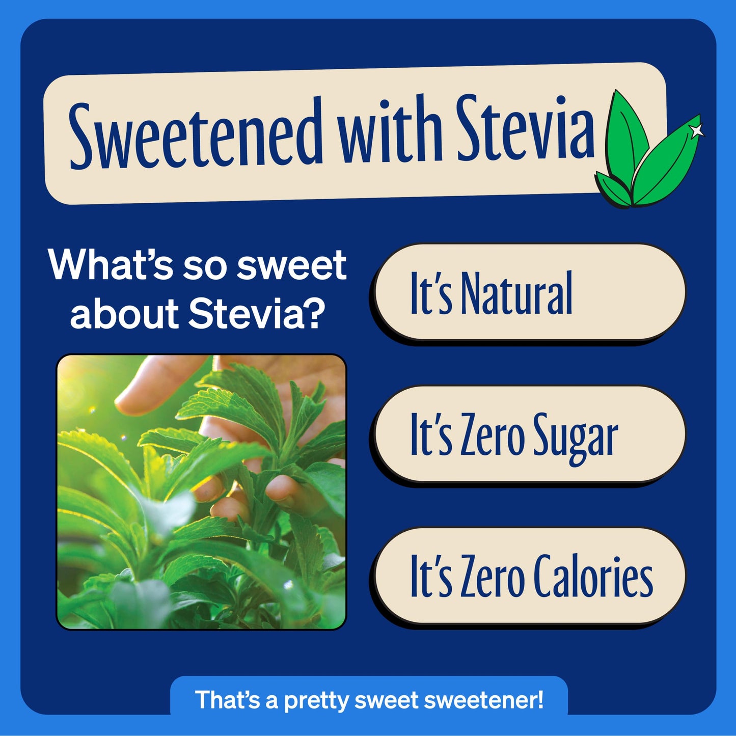Zevia Zero Sugar, Vanilla Cola Soda, 12 Fl Oz Cans (Pack Of 24)