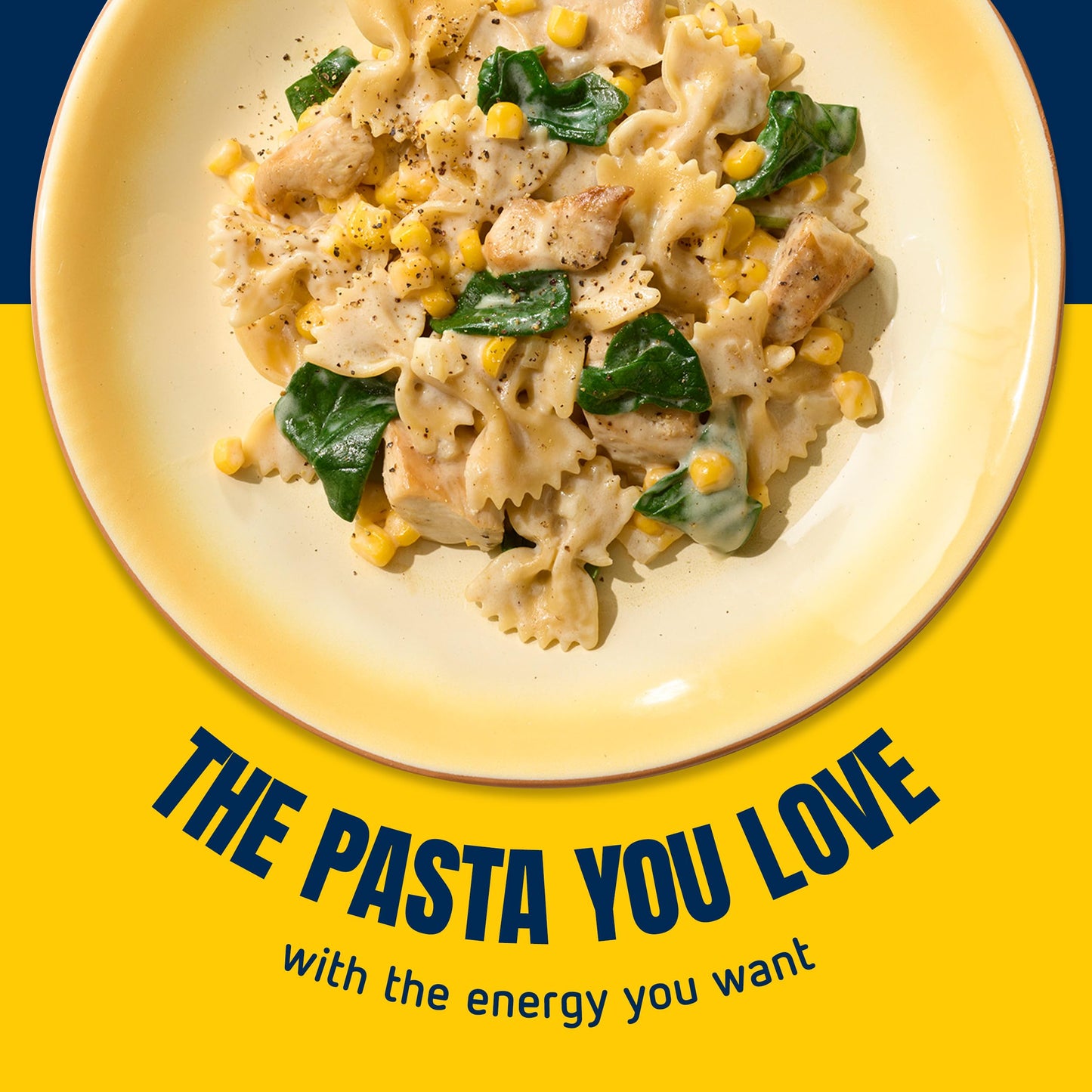 Barilla Protein+ Farfalle Pasta, 14.5 Oz