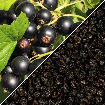 Dried Zante Currant Raisins By Its Delish, 2 Lbs Bulk Bag | Black Currants Dried Fruit For Snacking And Baking | Vegan, Kosher