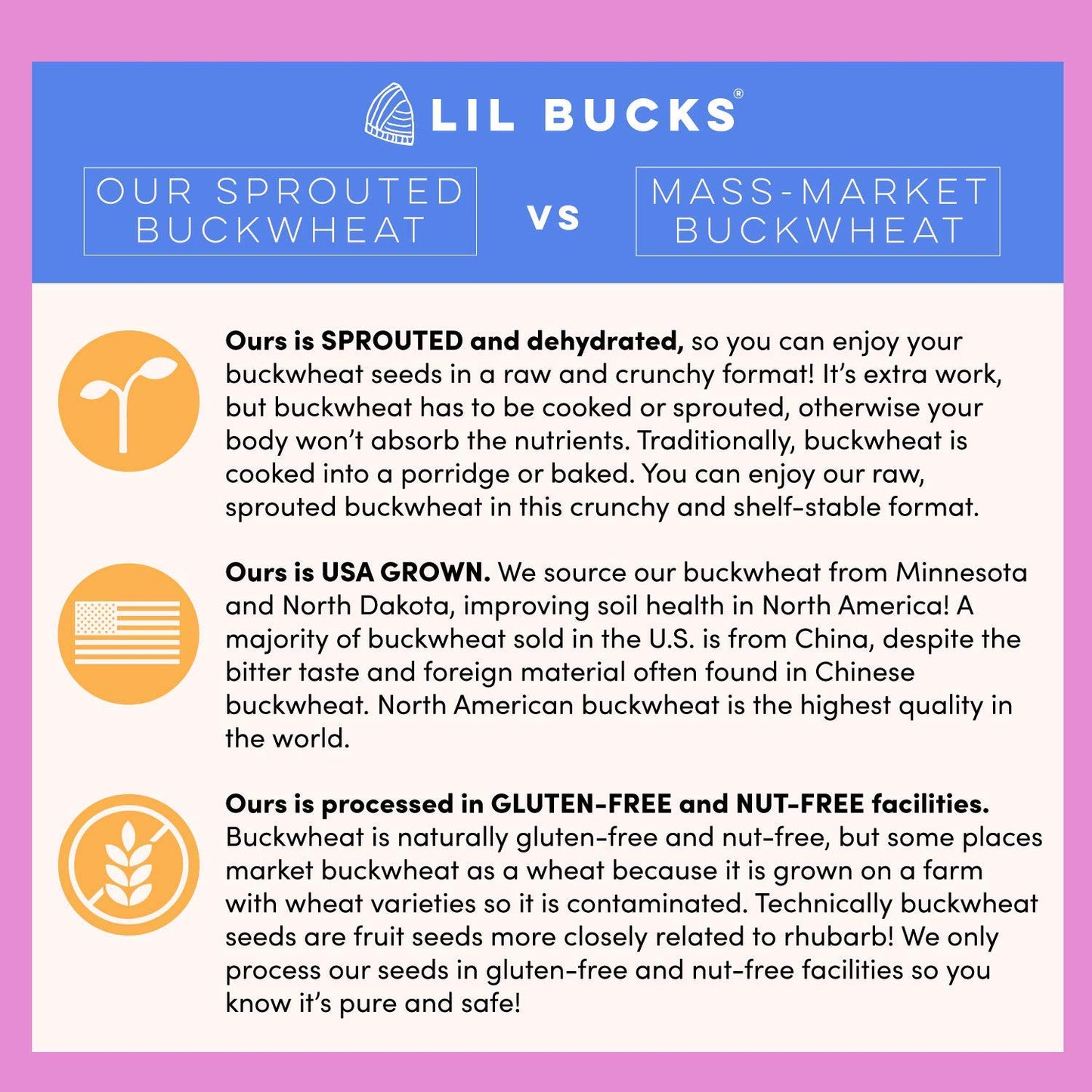 Lil Bucks Sprouted Buckwheat Groats Raw Organic, Grain-Free Granola (Cinnamon, 3 Pack)