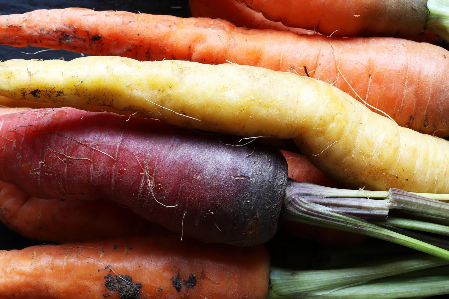 Organic Fresh Rainbow Carrots by RawJoy Farms, 1 Pound