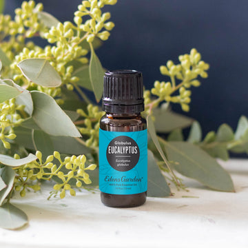 Eucalyptus 100% Pure Therapeutic Grade Essential Oil- 10 Ml
