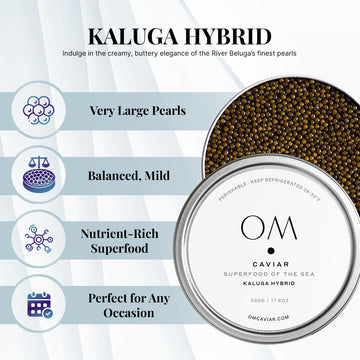 OM Caviar Kaluga Hybrid Caviar 500g - Sustainable River Beluga Alternative - enhanced Large Grain - Rich Buttery Flavor - Farm-Raised Caviar Kaluga Vacuum-Sealed Fresh