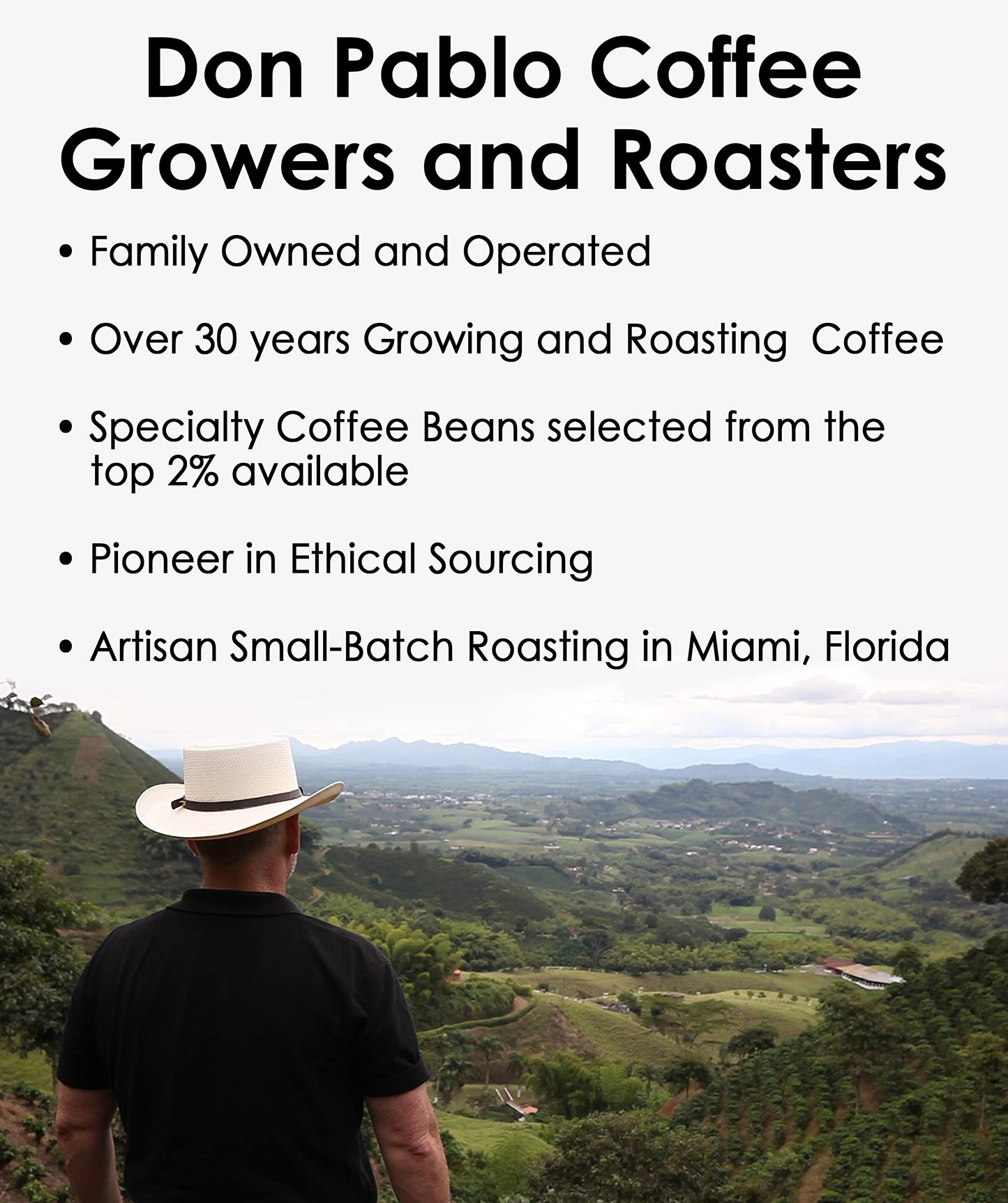 2LB Don Pablo Colombian Decaf Light Roast - Swiss Water Process Decaffeinated - Light Roast Whole Bean Coffee - Low Acidity - 2 Pound (2 lb) Bag