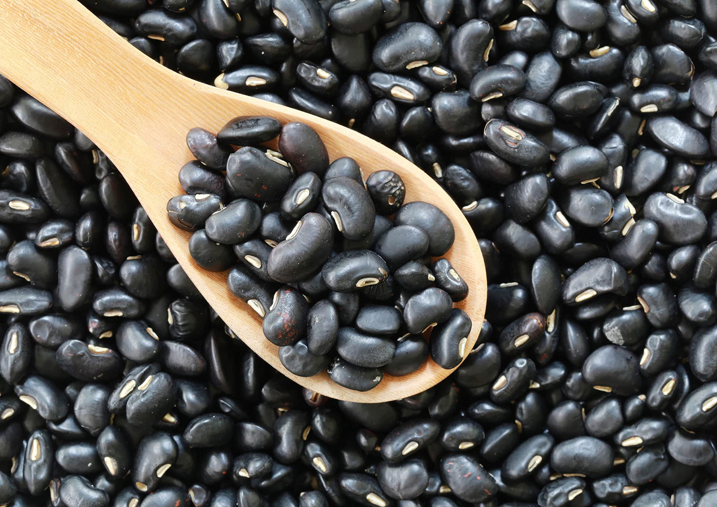 Food To Live - Black Turtle Beans, 5 Pounds Whole Dried Beans, Sproutable, Vegan, Kosher, Bulk. Low Sodium. Great Source Of Plant Based Protein, Fiber. Great For Bean Soup, Salads, Stews, Chili.