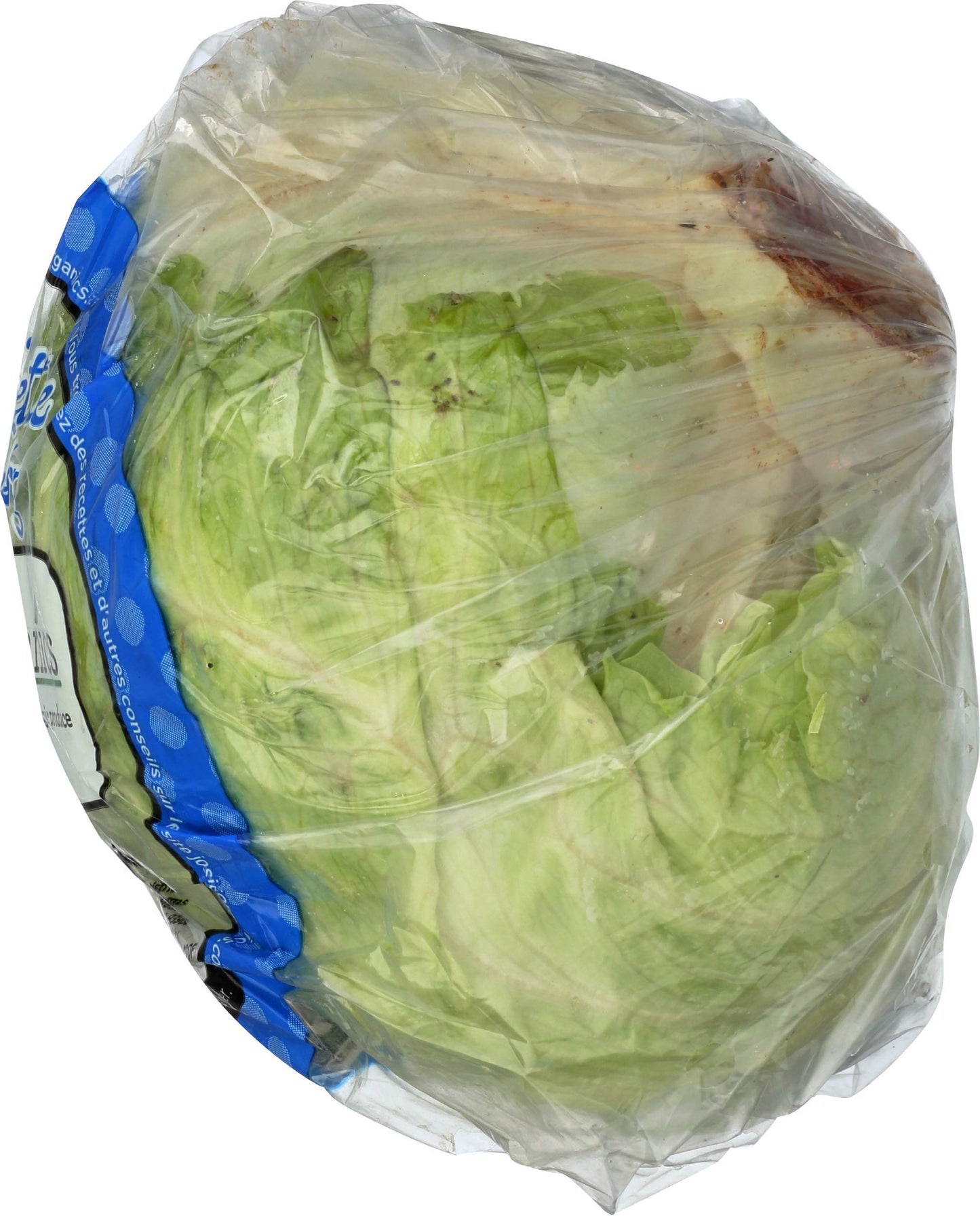 Organic Iceberg Lettuce, 1 Each