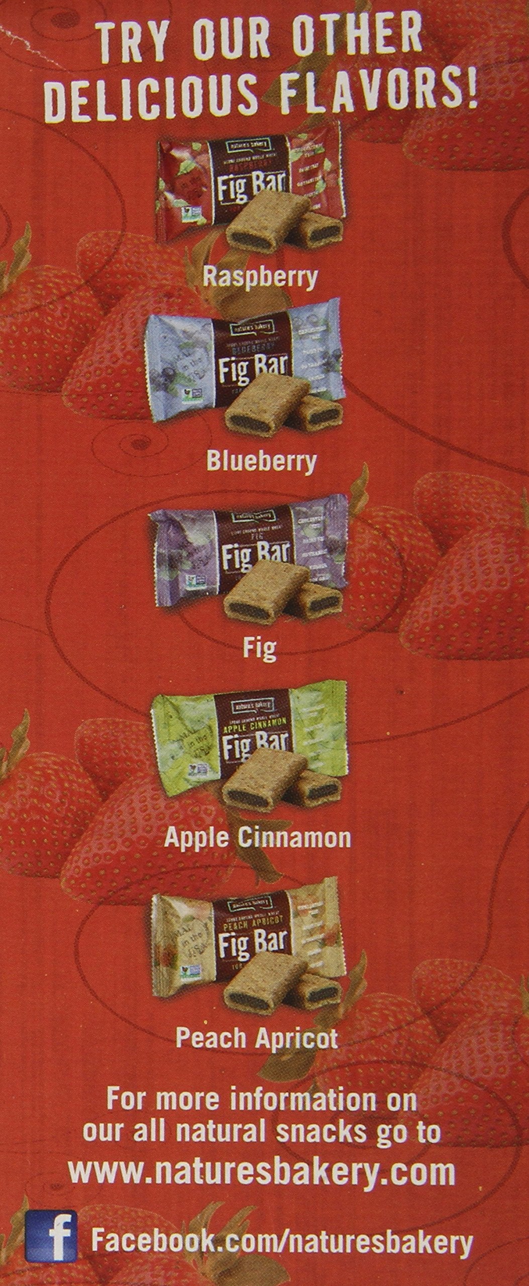 Natures Bakery Strawberry Fig Bars, 2 Oz, 6 Ct