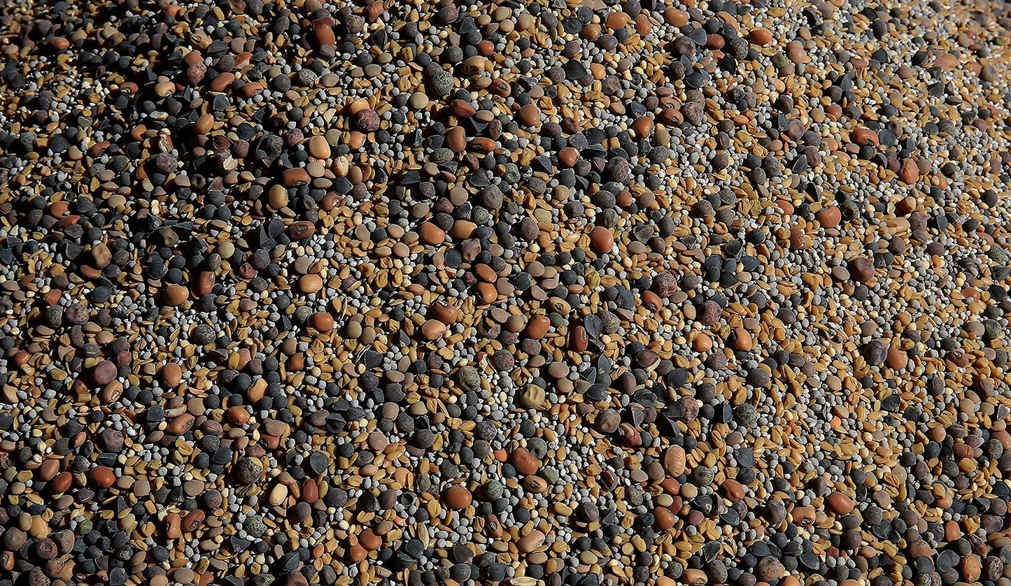 No-Till Solutions No-Till Cover Crop Seed Mix ½-lb Bag - 13-Seed Blend with Clovers, Fenugreek, Vetch, Cowpeas, and More