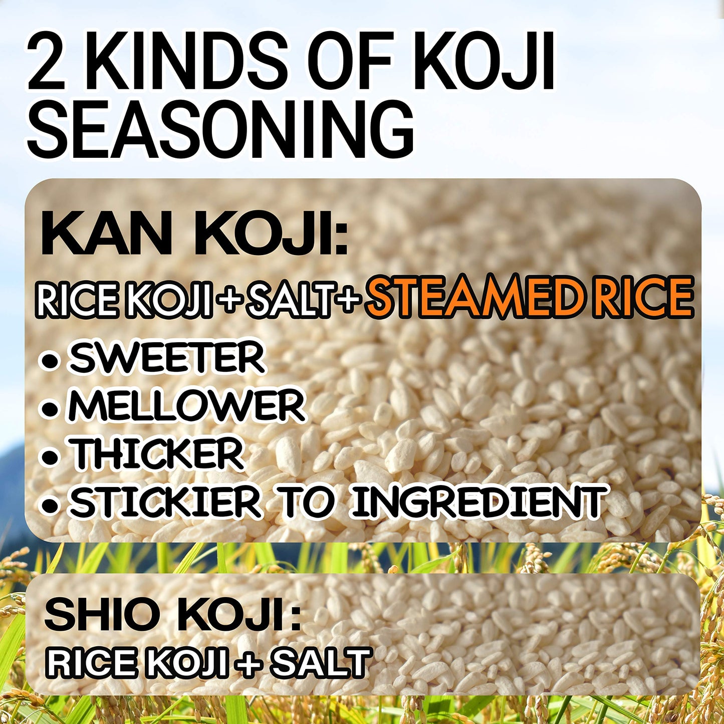 chaganju KOJI Umami Seasoning Rice Paste for Marinade 12.3oz