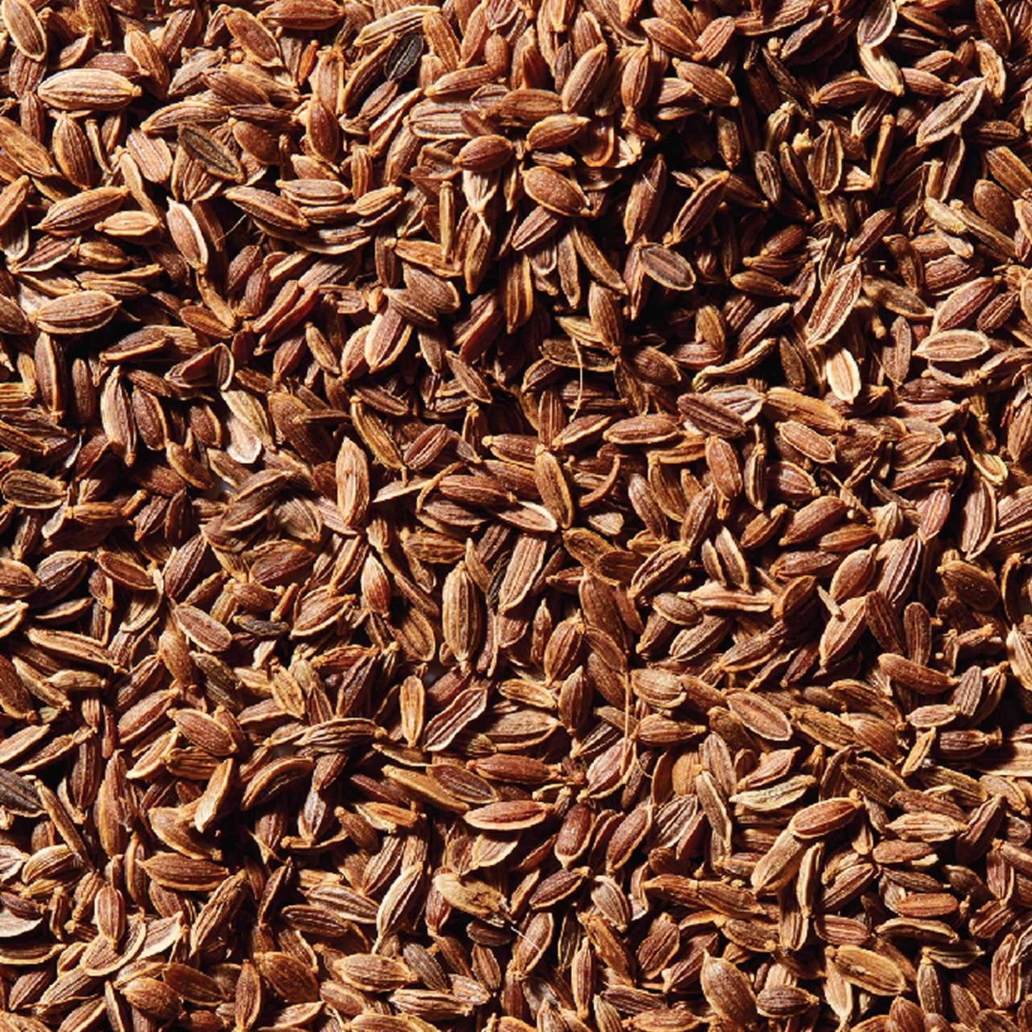 McCormick Dill Seed 0.85 oz