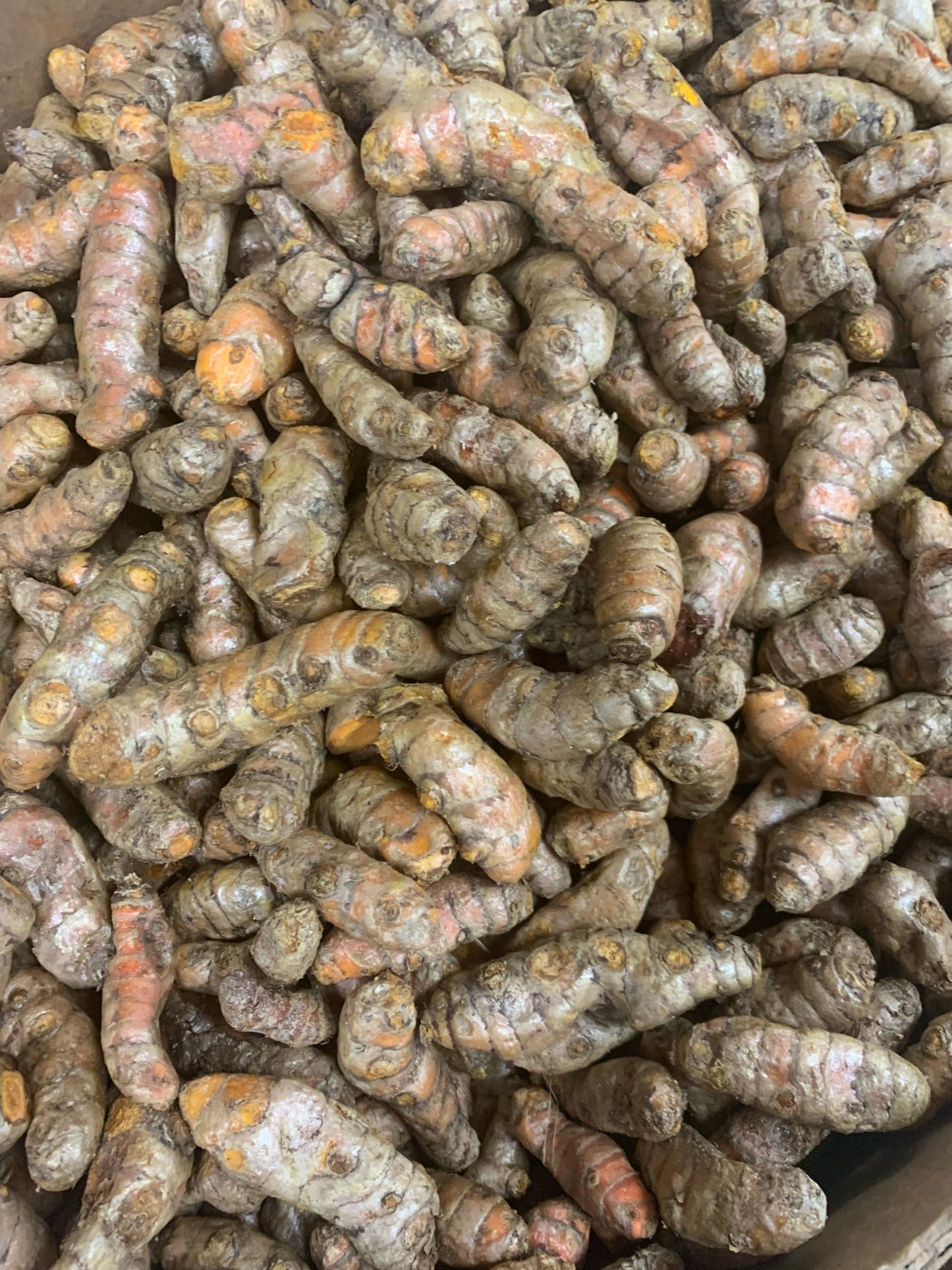 Fresh Yellow Turmeric Root - 1lb